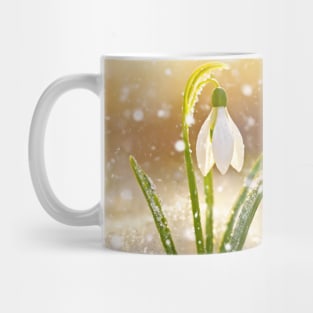 spring snowdrop Mug